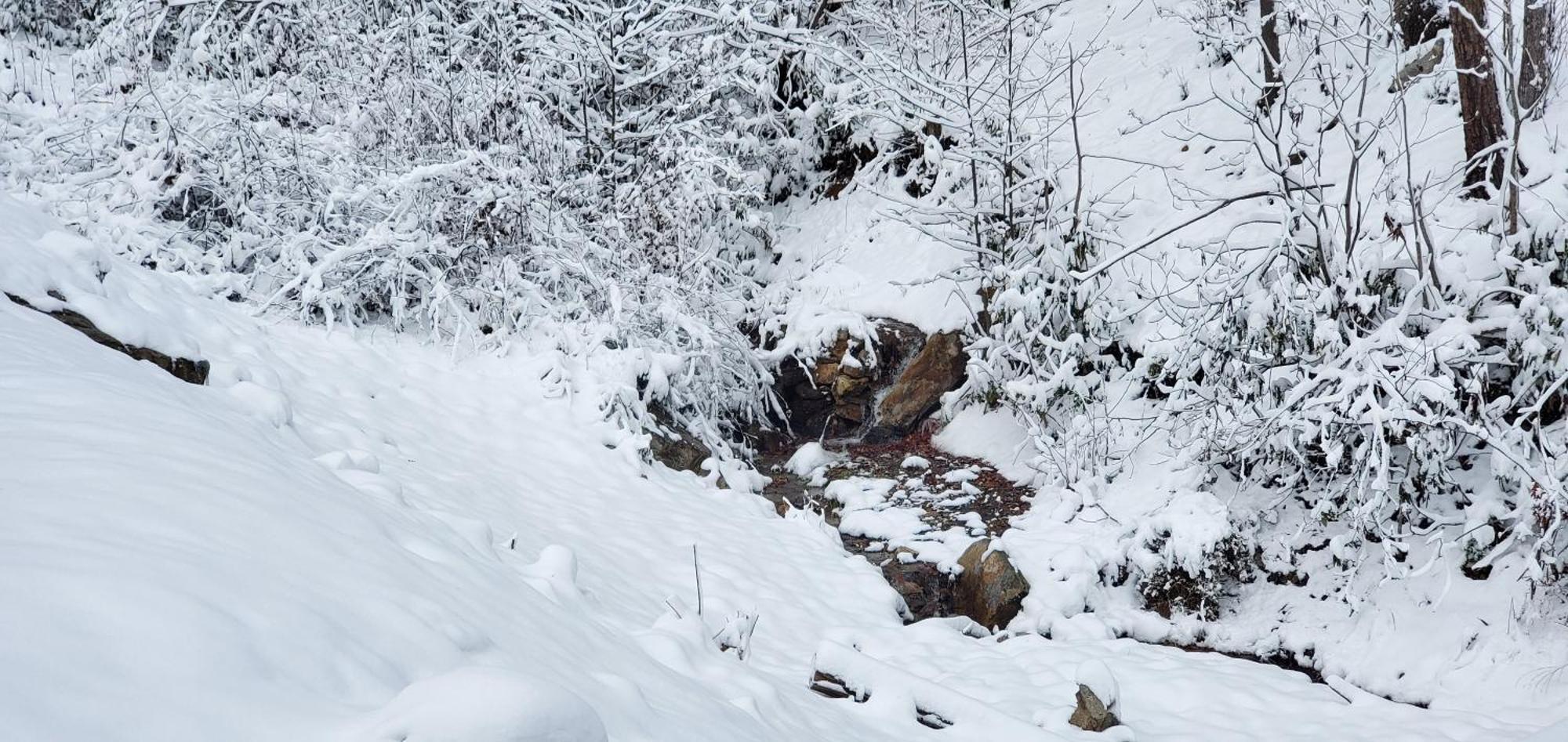 Lazy Bear Cabin เซอเวียร์วีล ภายนอก รูปภาพ
